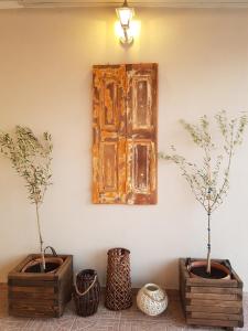LisvórionBeach house in Skala Polichnitou, Lesvos, Greece的墙上有三棵花瓶子,