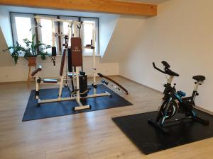 哈弗尔河畔勃兰登堡Neue Mühle Kleines Landhotel的健身房,提供自行车和健身器材