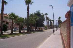 卡拉德莫尔诺姆佛苏姆旅馆的一条棕榈树的空街,一条人行道