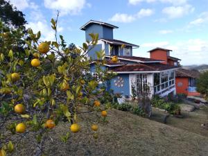 拉夫拉斯诺瓦斯Chalé Sol Poente的房子前面的橘子树