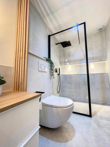 克雷翁AppartChic - appartement standing - plein Centre & Parking privé的一间带卫生间和玻璃淋浴间的浴室