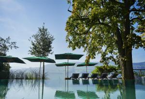 迈斯特施万登西罗斯水疗度假酒店的一个带椅子和遮阳伞的游泳池