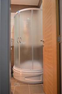雅戈丁那Garni Hotel Lion的浴室里设有玻璃门淋浴