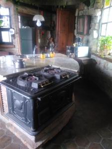 PaganiniBarranca del Paraná的客房内的厨房配有炉灶烤箱