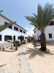 萨尔雷Vilas na areia aparthotel的棕榈树庭院和建筑