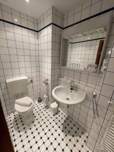 普莱滕贝格Hotel Restaurant Hüftgold的一间带卫生间和水槽的浴室
