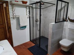 尼翁Le Ptit Cottage的带淋浴和卫生间的浴室