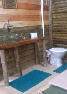 AnnitapolisCabanas Pousada Esmeraldas的一间带水槽和卫生间的浴室
