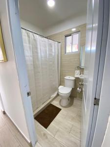 圣多明各La gran Mansion的浴室配有白色卫生间和淋浴。