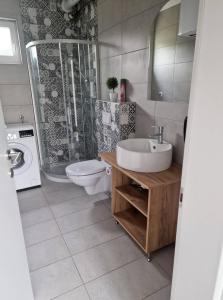 KutjevoKuća za odmor GRAŠEVINA的一间带水槽、卫生间和淋浴的浴室