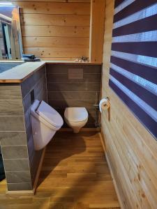赫兴施万德Blockhaus im Süden Deutschlands的一间带卫生间和水槽的小浴室