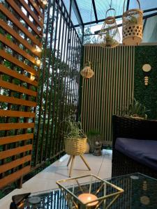 克卢日-纳波卡Maya Apartment的一个带桌子和一些盆栽植物的庭院