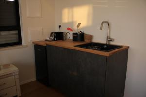 米德希特本-古里安נס הבריאה的厨房配有水槽和木制台面
