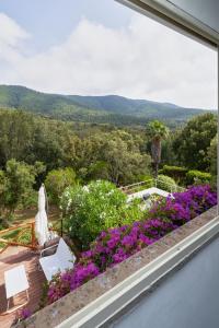 蓬塔阿拉Cottage Punta Ala Residential Area with Pool的从鲜花盛开的房子的阳台上可欣赏到风景