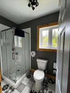 圣安娜德蒙Chill Shack - Auberge Jeunesse的带淋浴和白色卫生间的浴室