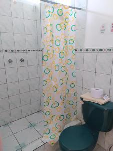 比亚米尔港Hostal Los Flamencos的设有带卫生间的浴室内的淋浴帘