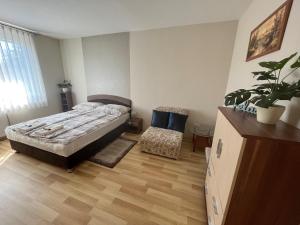 佐洛卡罗斯RelaxAp Zalakaros的一间卧室配有一张床,铺有木地板