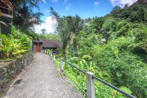 德格拉朗Bali Jungle Resort的通往丛林房屋的走道
