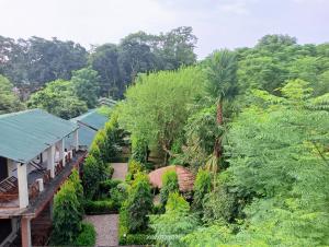 索拉哈Hotel Butterfly , Sauraha , Chitwan的享有树木和灌木花园的空中景致