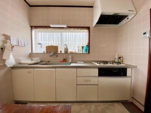 大岛ホライゾン的一间带水槽和炉灶的小厨房