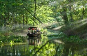 杭州杭州西溪悦榕庄的漂浮在森林中的河流上的船