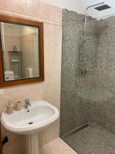 蒙多维Casa Luisini的带淋浴、盥洗盆和镜子的浴室