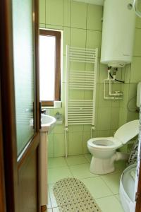 杜劳Pensiunea Novac的一间带卫生间、水槽和窗户的浴室
