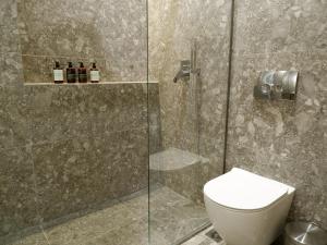 AchílleionKaiser Luxury Suites的一间带卫生间和玻璃淋浴间的浴室