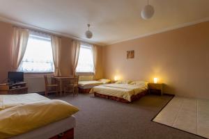 拉贝河畔罗乌德尼采捷克克朗酒店的一间卧室配有两张床、一张桌子和一台电视。