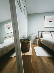 蒂米什瓦拉#outofboxproject tiny-home and garden house的一间设有两张床的房间和一张桌子上的植物