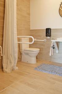 Kiemeliai薰衣草村酒店的一间带卫生间和淋浴帘的浴室