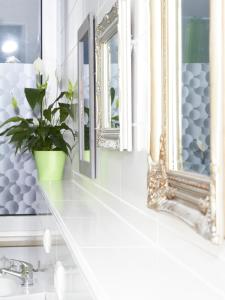慕尼黑PM旅舍的浴室设有镜子和盆子上的盆栽植物