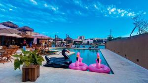 里约热内卢Hotel Be Loft Lounge的水中带粉红色火烈鸟的游泳池
