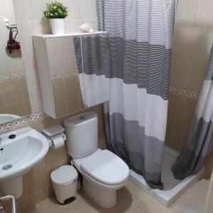 圣伊西德罗Apartamento Izaña的一间带卫生间和水槽的浴室