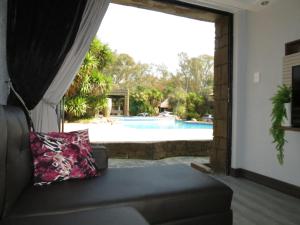 比勒陀利亚Bushmans Rock的带沙发和游泳池的客厅