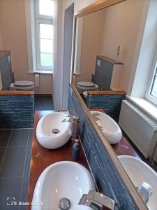 巴姆施泰特Glamping Altes Pastorat的一间带三个水槽和两个卫生间的浴室