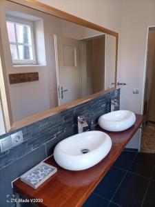 巴姆施泰特Glamping Altes Pastorat的一间带两个盥洗盆和大镜子的浴室