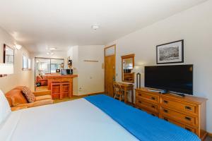 阿斯潘Aspen Mountain Lodge 402的一间卧室配有一张大床和一台平面电视