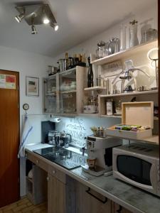 巴特维尔德巴德Appartement Herrlich的厨房配有带微波炉的台面