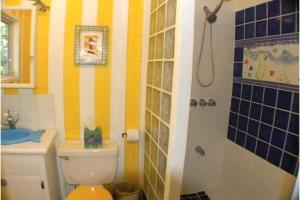 玛雅湾Seagrape Escape的一间带卫生间和淋浴的浴室