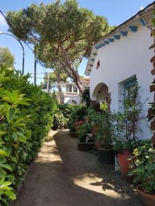 卡斯特尔德费尔斯Enjoy your holidays 300m to the Mediterranean sea at Villa DIVALI的一条通往有植物和树的房子的道路