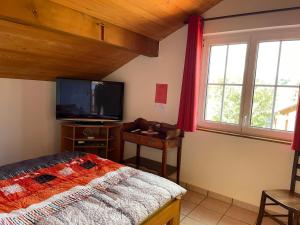 Les GenevezChambres d'hôtes的一间卧室配有一张床和一台平面电视