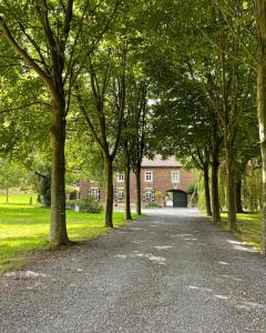 海尔伦Hoeve Berghof的车道,在建筑物前有树木