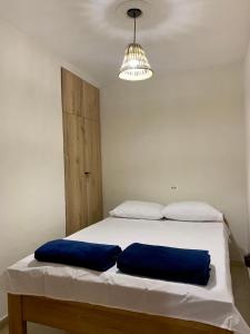 贾丁Apartamentos Primavera的一间卧室配有一张带两个蓝色枕头的床