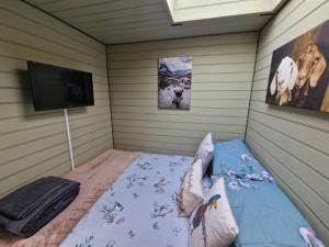 霍利黑德Stunning 1-Bed shepherd hut in Holyhead的一间设有床铺和电视的房间