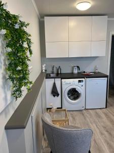 雷克雅未克Helena's studio, Reykjavík 104的一间厨房,在房间内配有洗衣机和烘干机