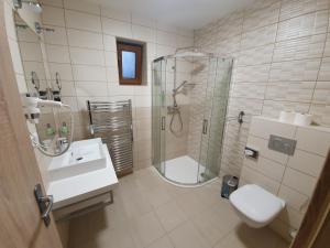 SmilovicePenzion Vilma的带淋浴、卫生间和盥洗盆的浴室