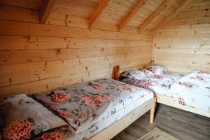 DružinićeVidikovac Uvac的木墙客房的两张床