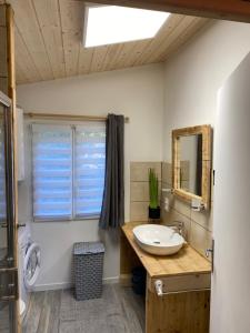 梅塔比耶Au-Doux-Altic chalet romantique avec JACUZZI ET SAUNA的一间带水槽和镜子的浴室