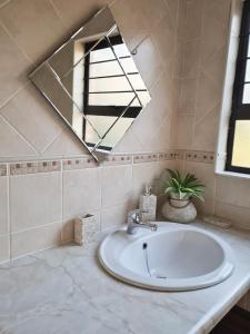 比勒陀利亚La Casa Greeff Guesthouse的一间带水槽和镜子的浴室